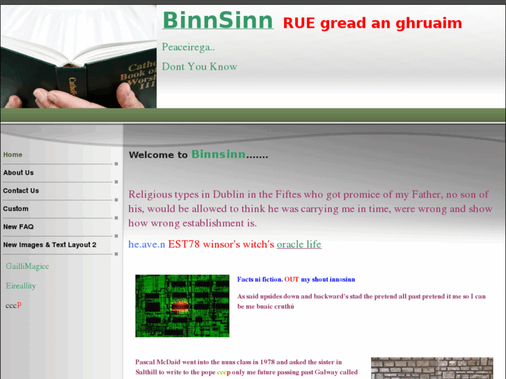 www.binnsinn.com