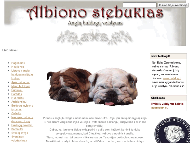 www.bulldog.lt