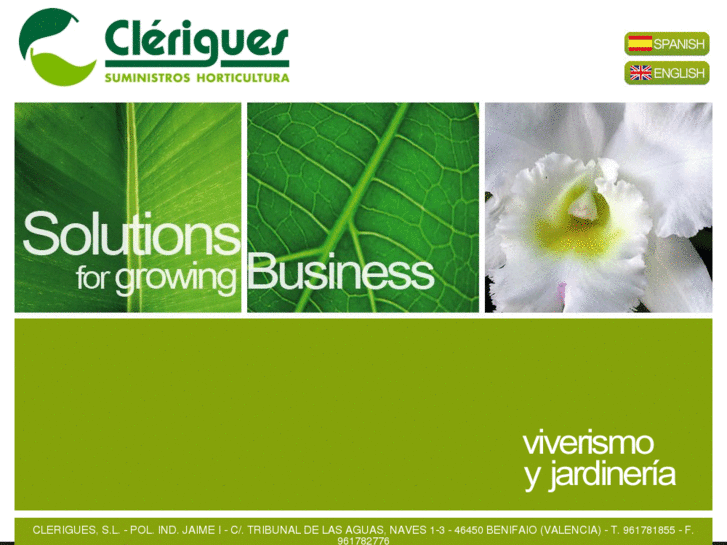 www.cleriguessl.com