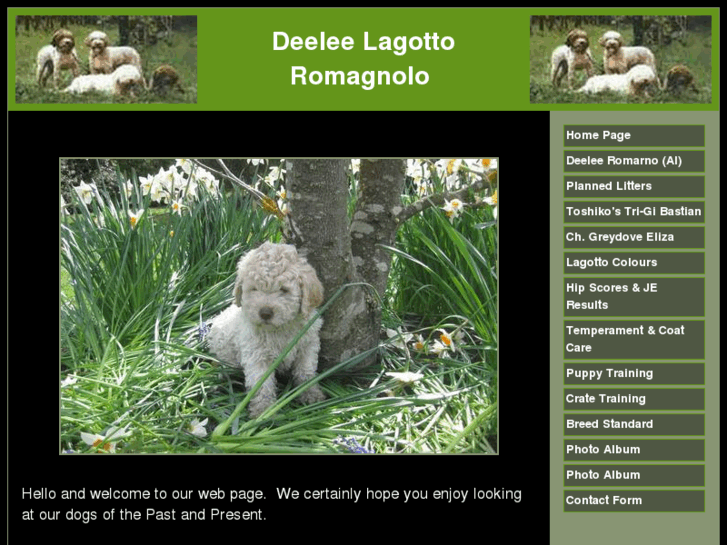 www.deeleelagotto.com