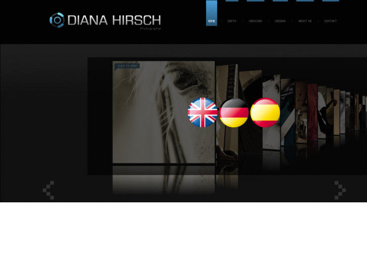 www.dianahirsch.com