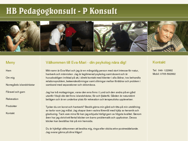 www.dinpsykologkonsult.com