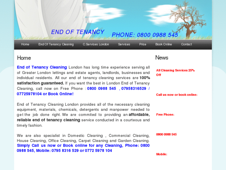 www.endoftenancycleaninglondon.info