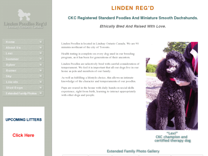 www.lindenpoodles.com