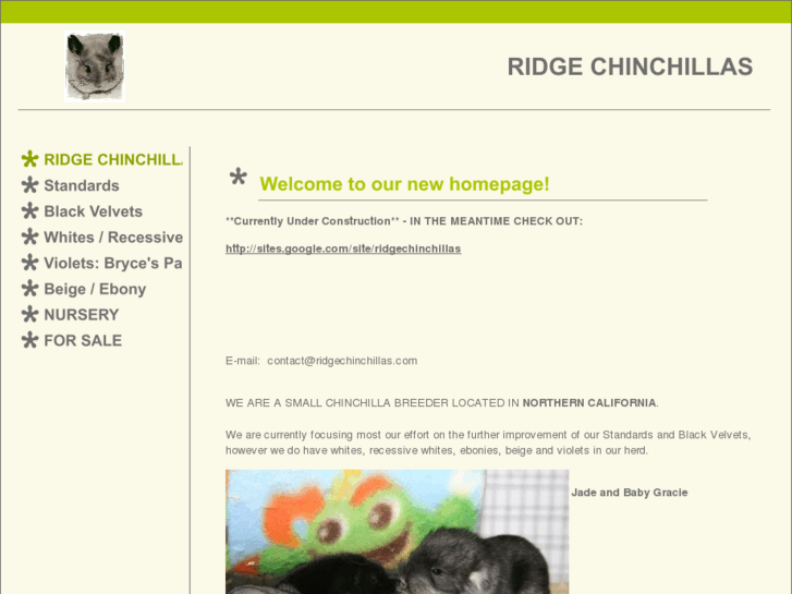 www.ridgechinchillas.com