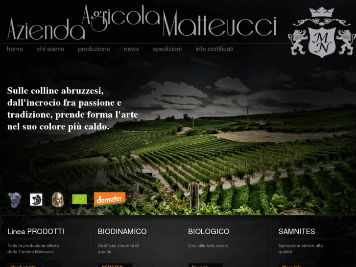 www.vinimatteucci.com
