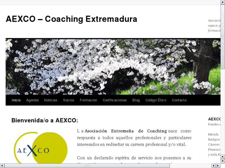 www.aexco.es