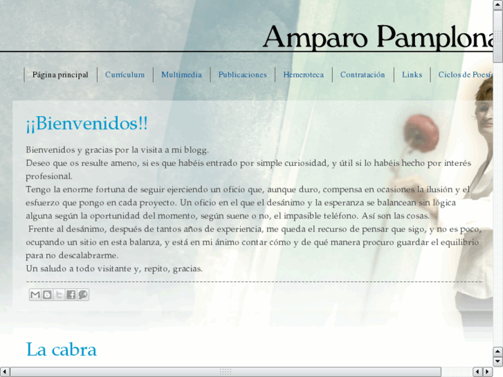 www.amparopamplona.es