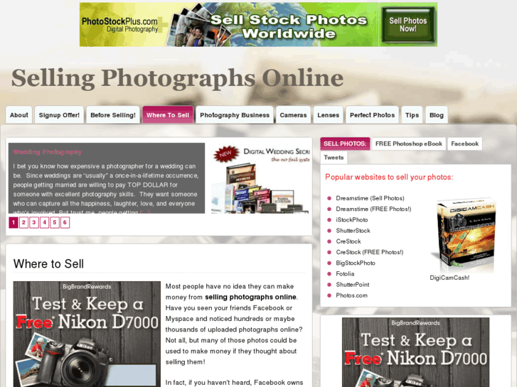 www.sellingphotographsonline.net