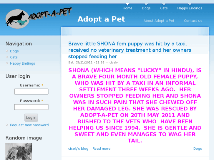 www.adopt-a-pet.org.za