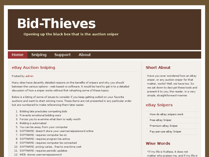 www.bid-thieves.com