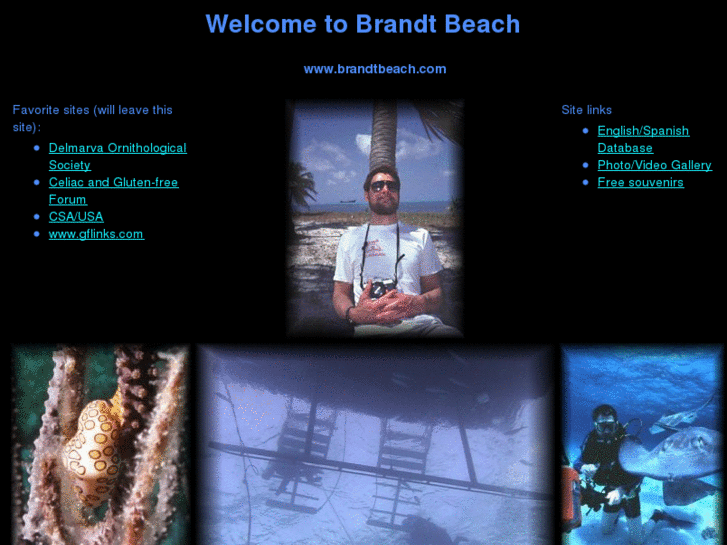 www.brandtbeach.com