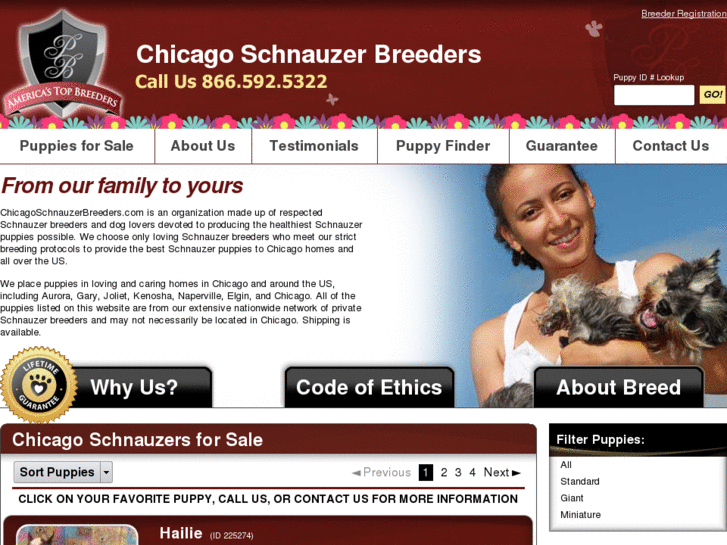 www.chicagoschnauzerbreeders.com