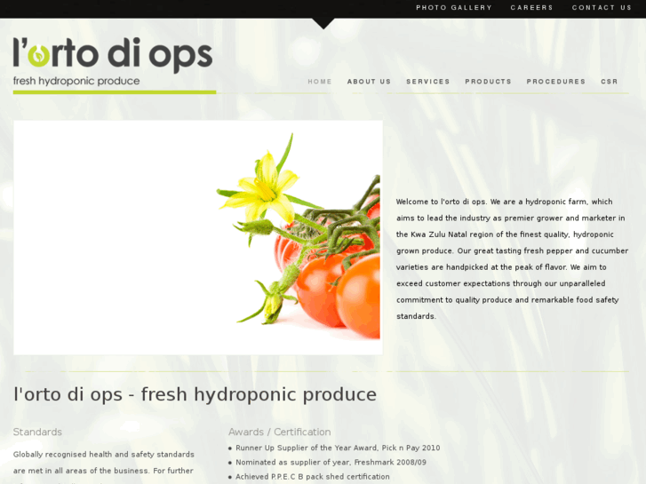 www.lortodiops.com