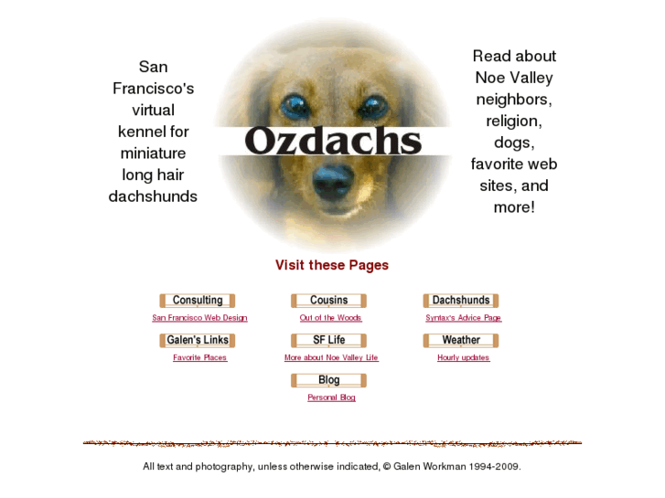 www.ozdachs.com