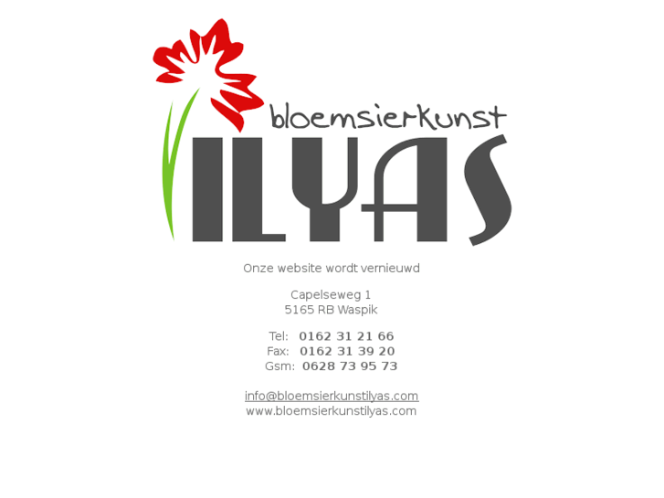 www.bloemsierkunstilyas.com