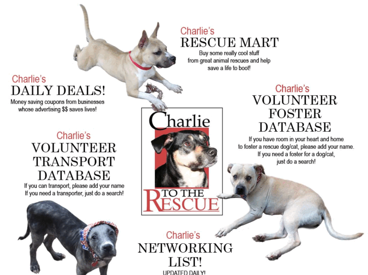 www.charliesdailydeals.org