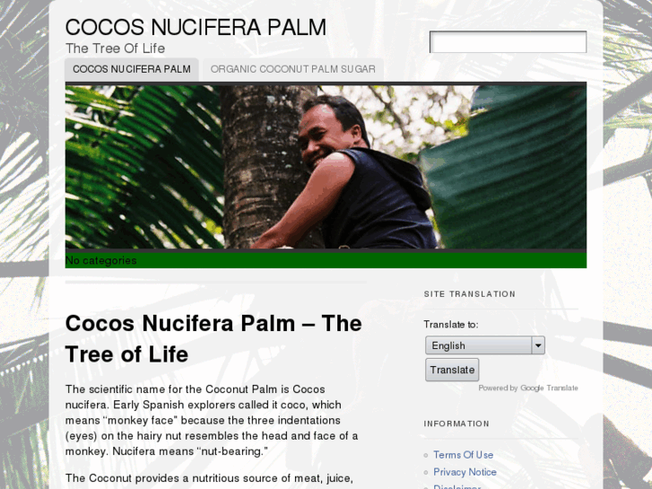 www.cocos-nucifera.com