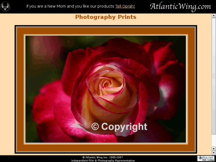 www.atlanticwing.com
