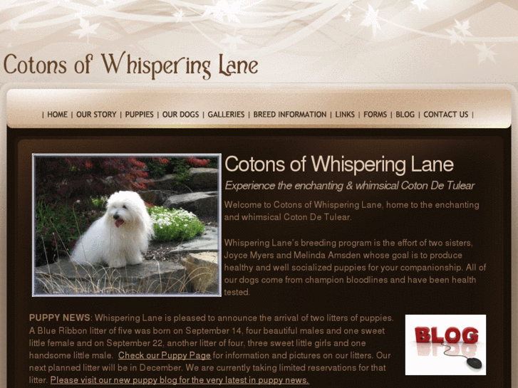 www.cotonsofwhisperinglane.com