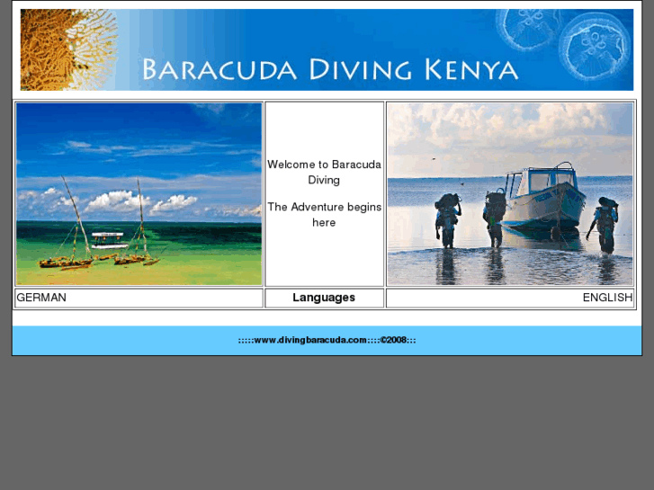 www.divingbaracuda.com