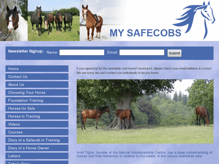 www.mschorses.com