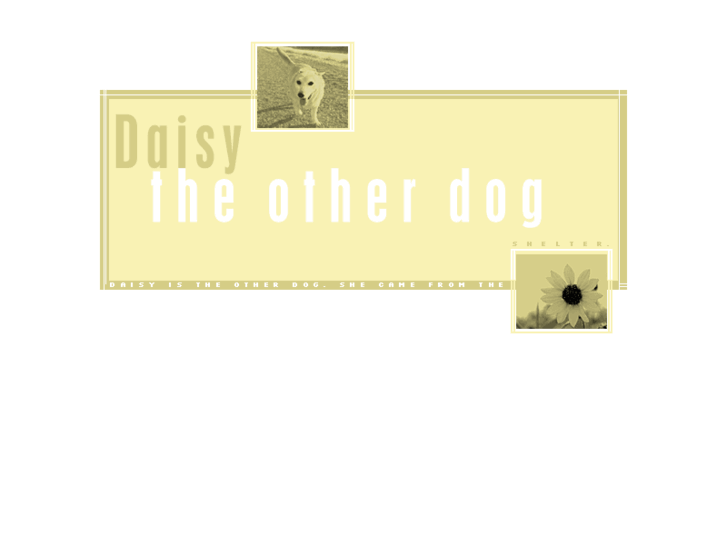 www.otherdog.com