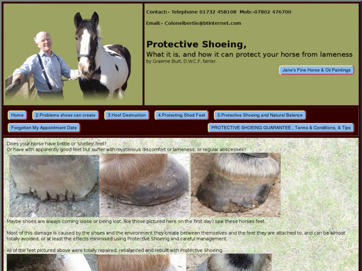 www.protectiveshoeing.com