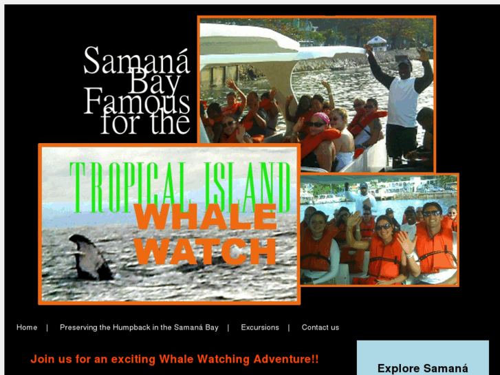 www.tropicalislandwhalewatch.com