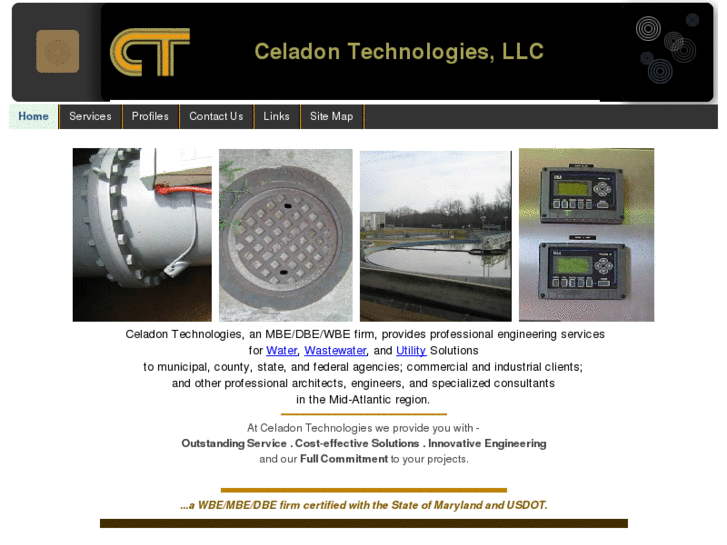 www.celadontechnologies.com