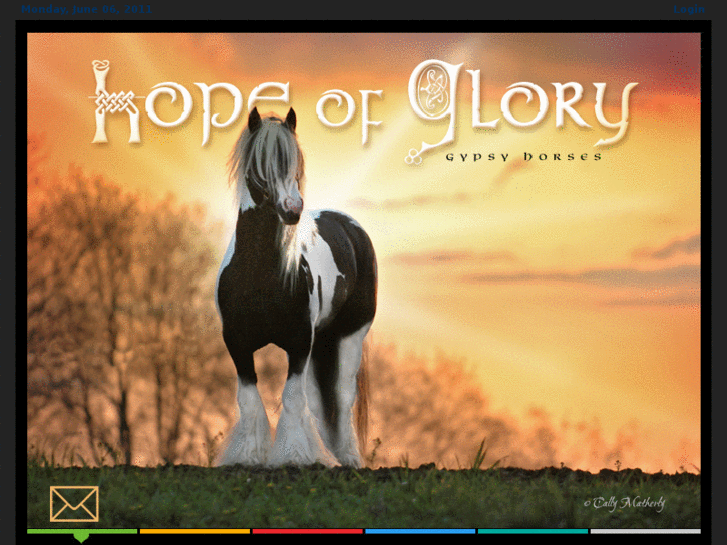 www.hopeofglorygypsyhorses.com