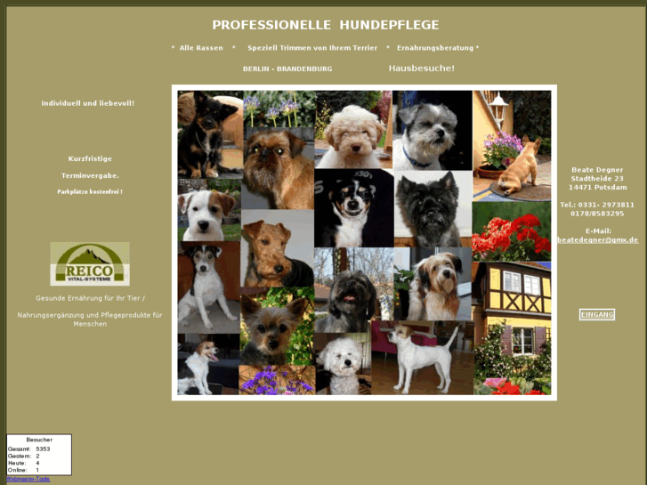 www.hunde-online-info.de