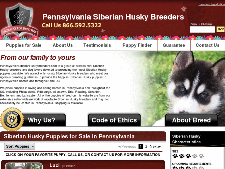 www.pennsylvaniasiberianhuskybreeders.com