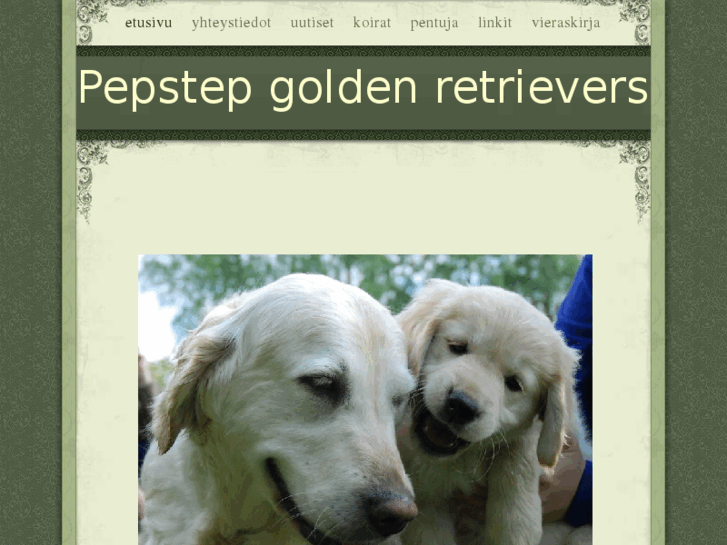 www.pepstepgoldens.com