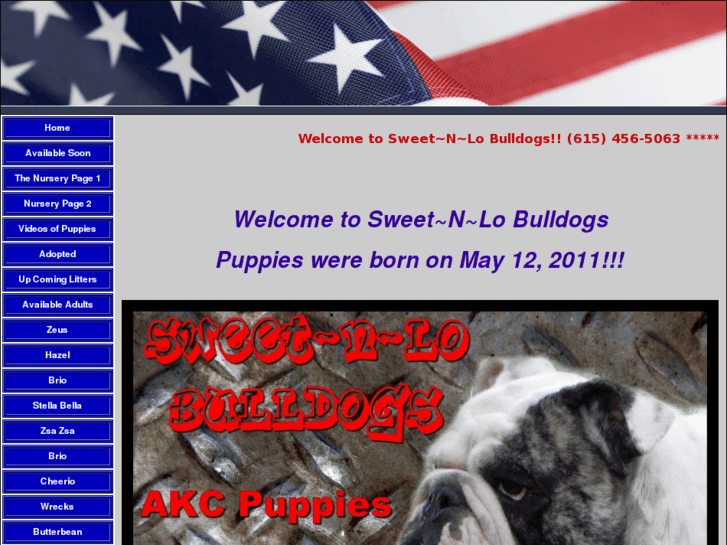 www.sweetnlobulldogs.com