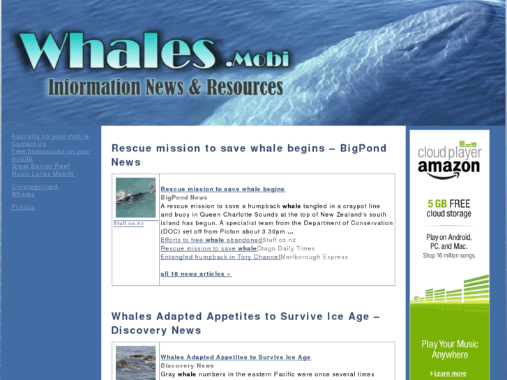 www.whales.mobi