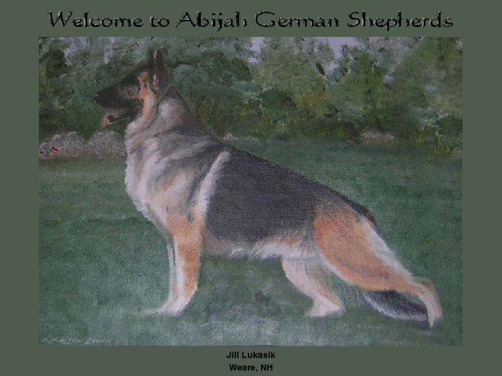 www.abijahgermanshepherds.com