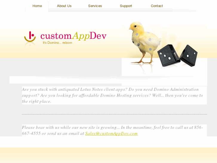 www.customappdev.com