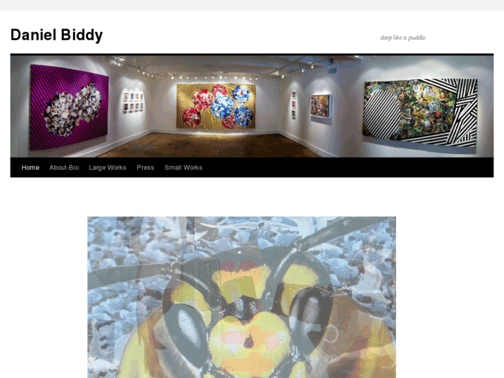 www.danielbiddy.com