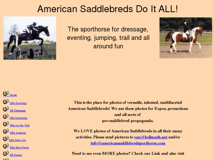 www.saddlebredsarefun.com