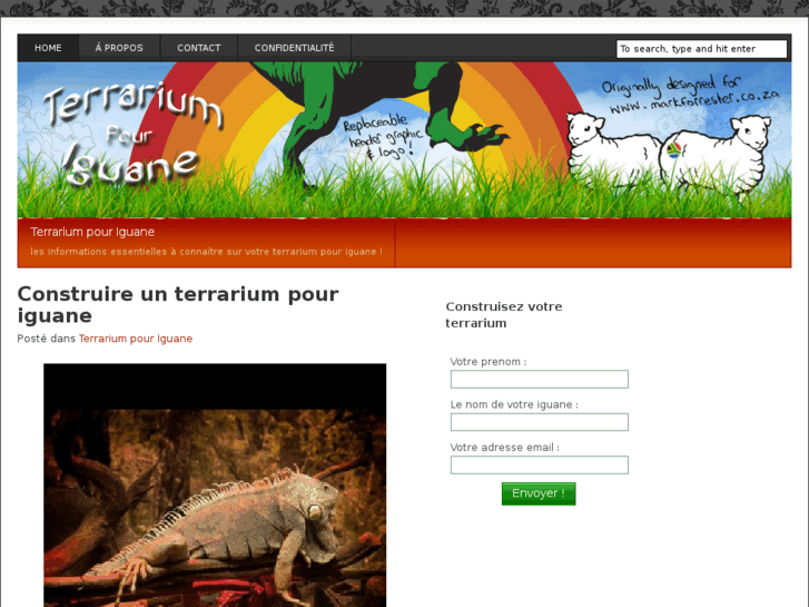 www.terrariumiguane.com