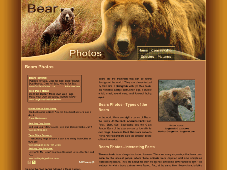 www.bear-photos.org