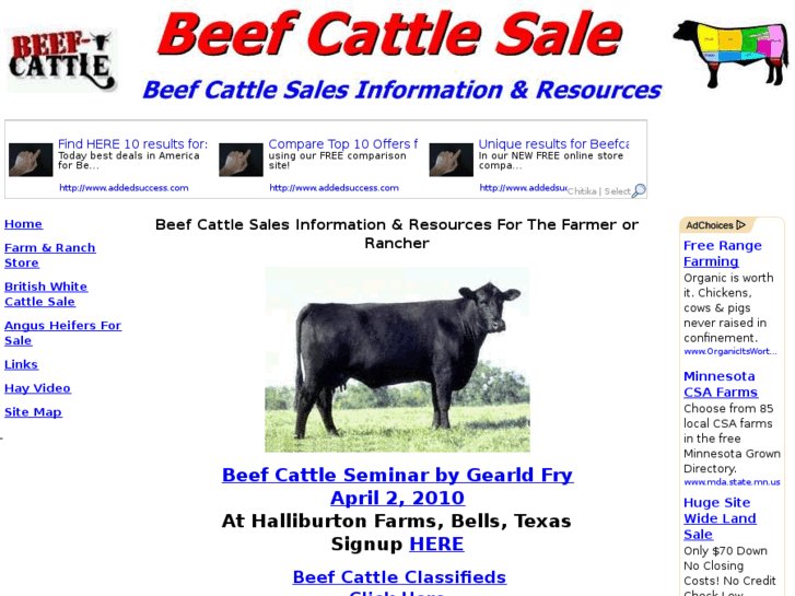 www.beefcattlesale.com