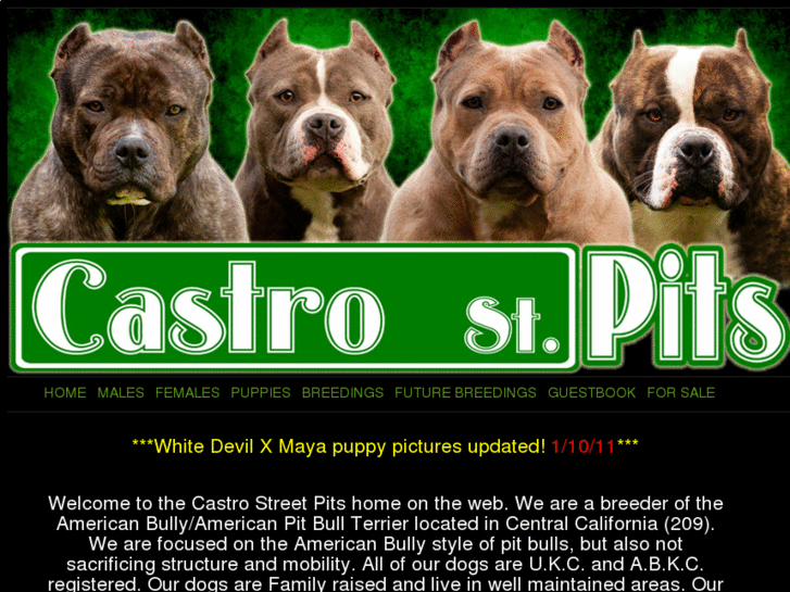 www.castrostpits.com