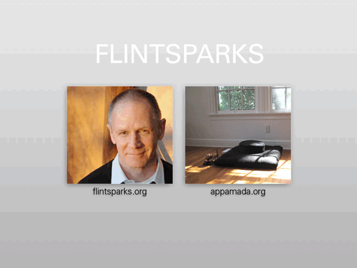www.flintsparks.com