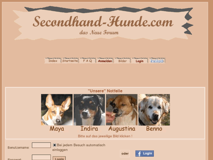 www.secondhand-hunde.com