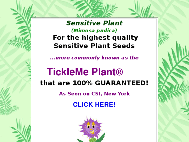 www.sensitiveplant.com