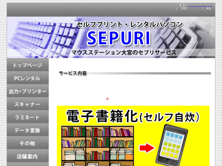 www.sepuri.com