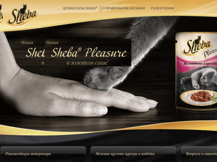 www.sheba.ua