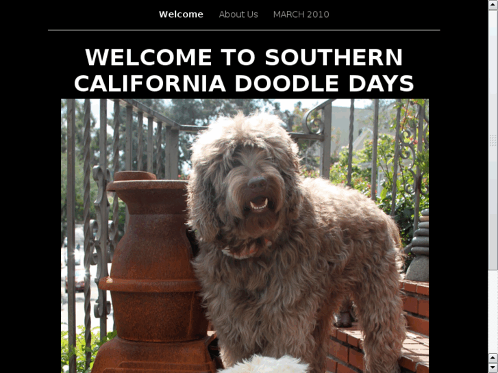 www.socaldoodledays.com